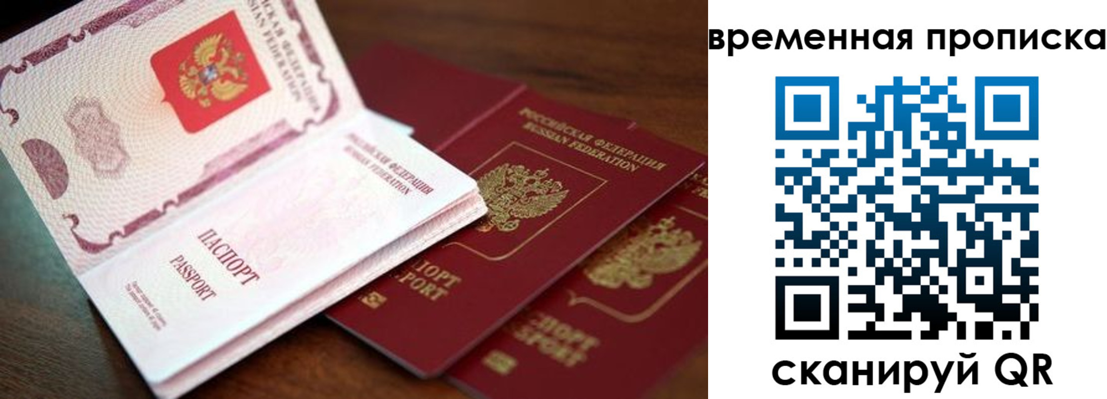 прописка гарантия в Трубчевске